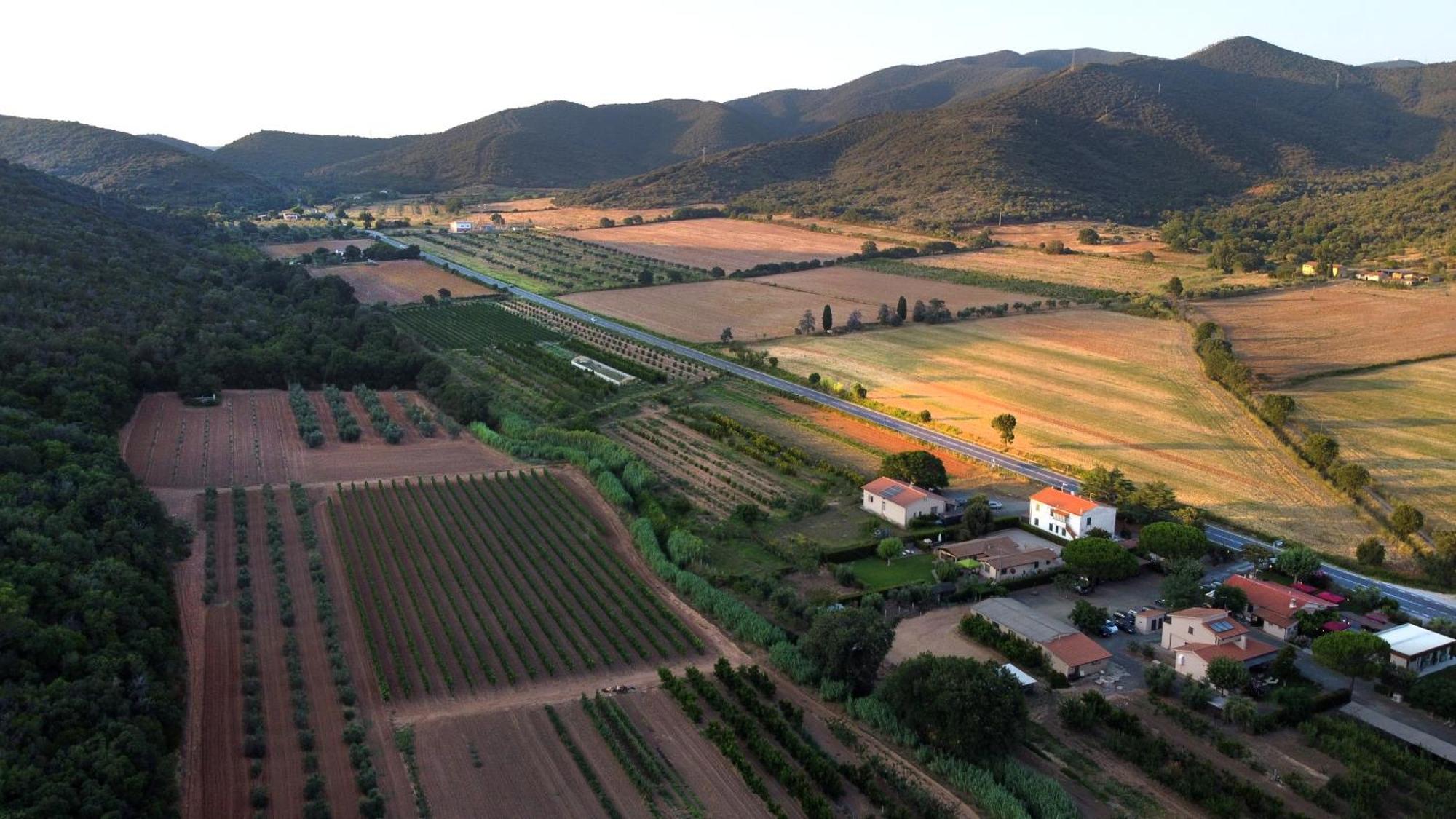 Agriturismo La Sassicaia Castiglione della Pescaia Exterior photo